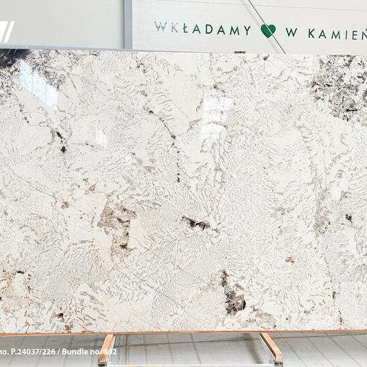 Granit Alpinus White 2 cm polerowany