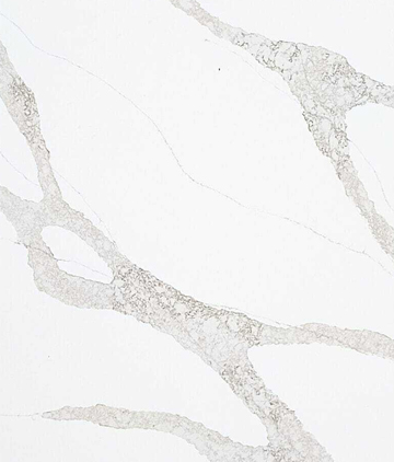 Quartz conglomerate Stella