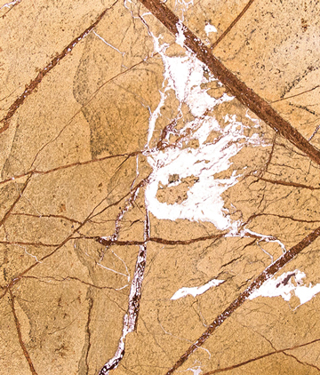 Marmur Rain Forest Gold