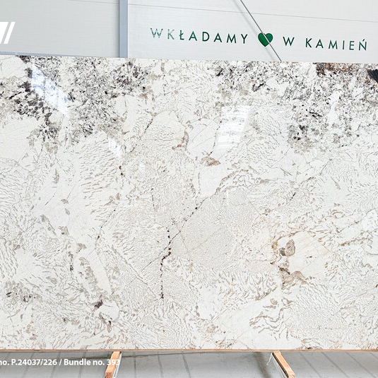 Granit Alpinus White 2 cm polerowany